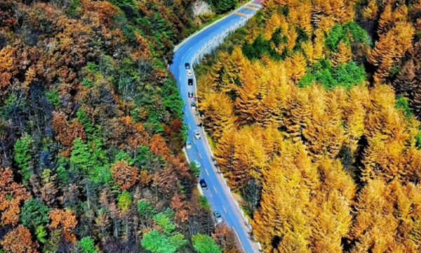     秋意浓，辉创多个项目美成了壁纸，建议保存！